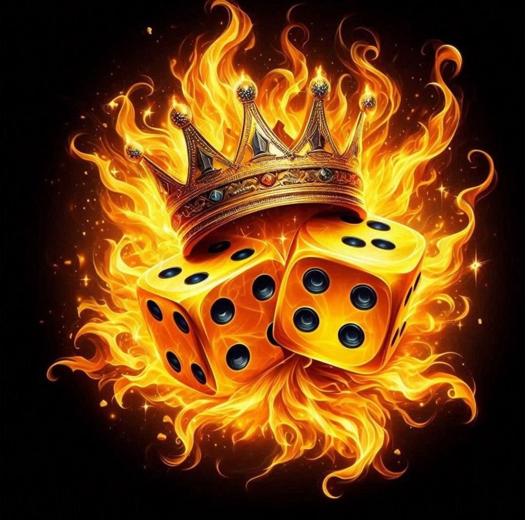 56d bet com